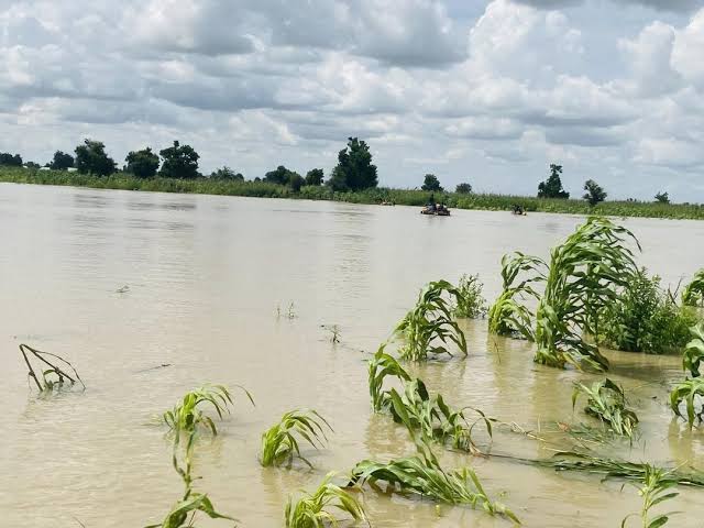 Yobe Govt, FAO-UN launch innovative floodwater harvesting project